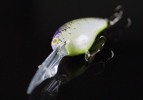 Fishing Lure